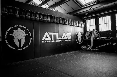 Atlas Martial Arts Academy BJJ Academy - photo 2