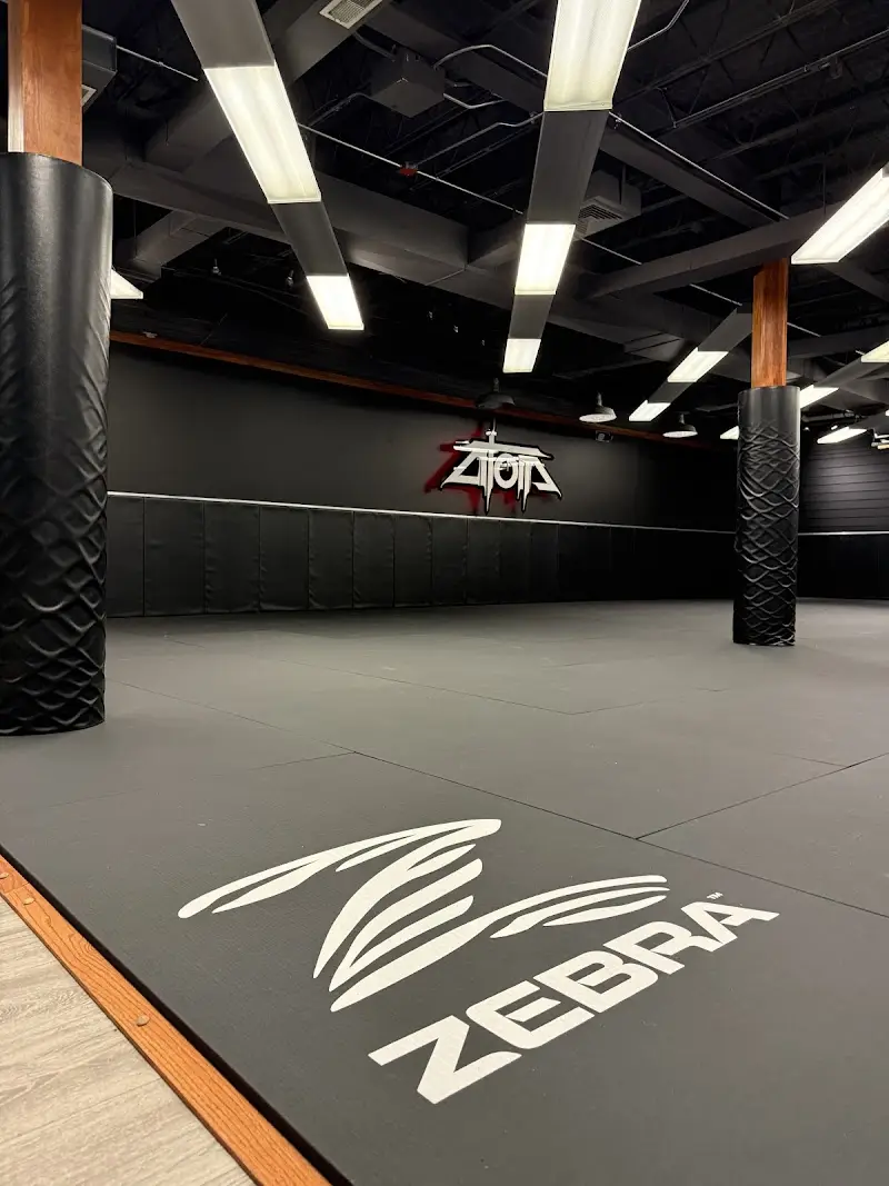 Atom, Jiu-Jitsu & Science BJJ Academy - photo 1