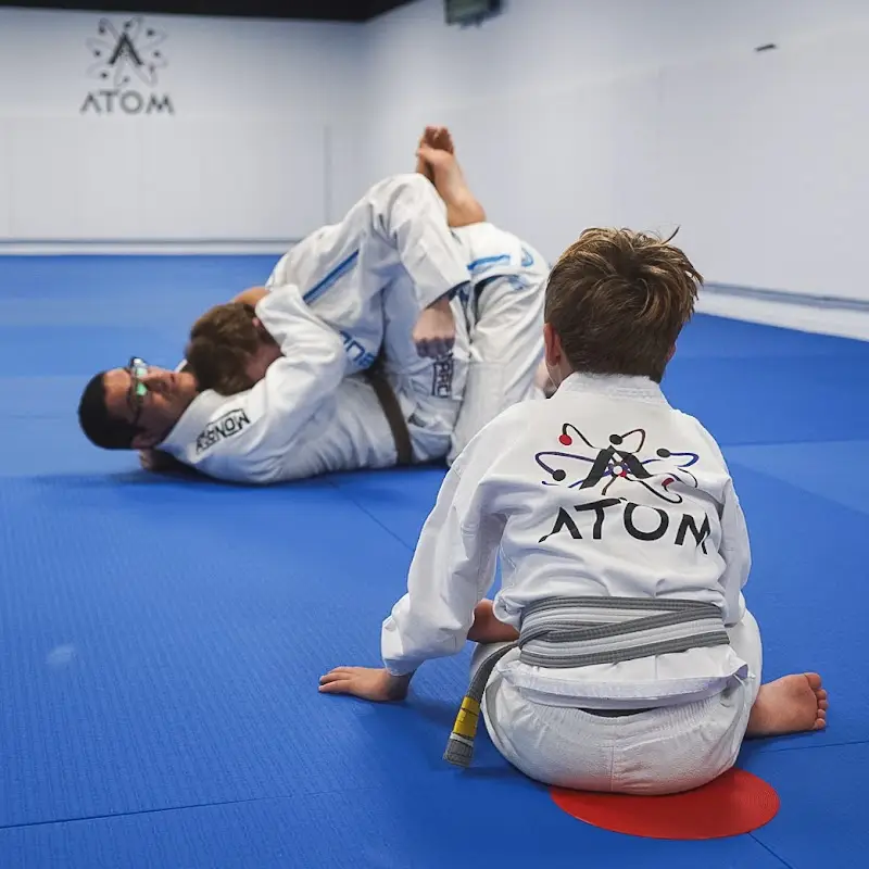 Atom Martial Arts BJJ Academy - photo 2