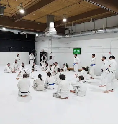Atos Jiu Jitsu Northwest BJJ Academy - photo 1