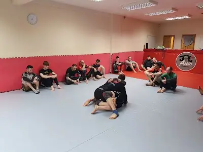 Attic Brazilian Jiu-Jitsu Carlow BJJ Academy - photo 1