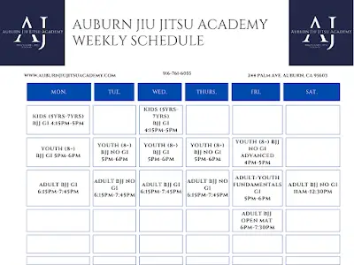 Auburn CA Jiu Jitsu Academy BJJ Academy - photo 1