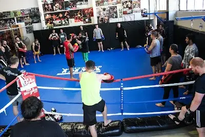 Auckland MMA BJJ Academy - photo 3