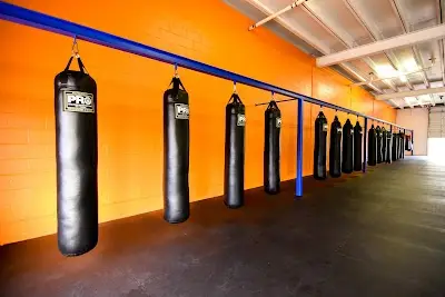 Austin Kickboxing Academy BJJ Academy - photo 1