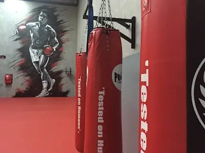 Australian Kickboxing Academy BJJ Academy - photo 2