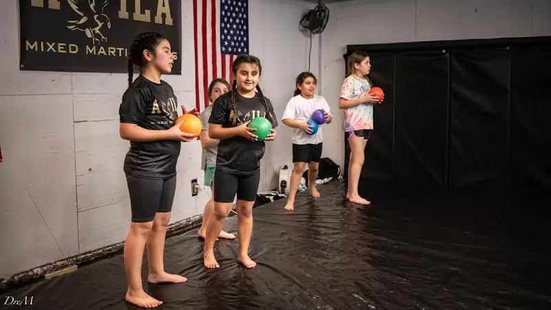 Avila Combat Laboratories BJJ Academy - photo 2