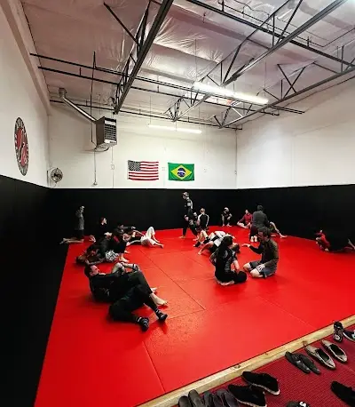 Avilla Brazilian Jiu Jitsu BJJ Academy - photo 1