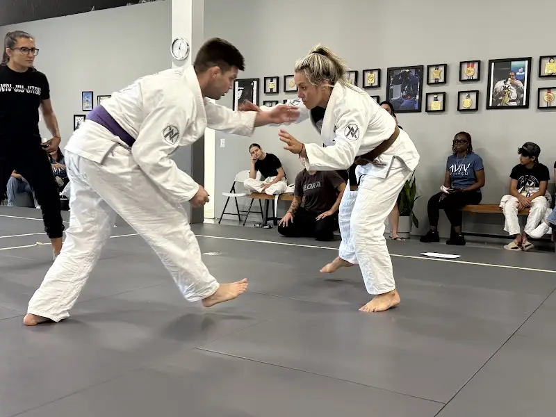 Aviv Jiu Jitsu BJJ Academy - photo 1