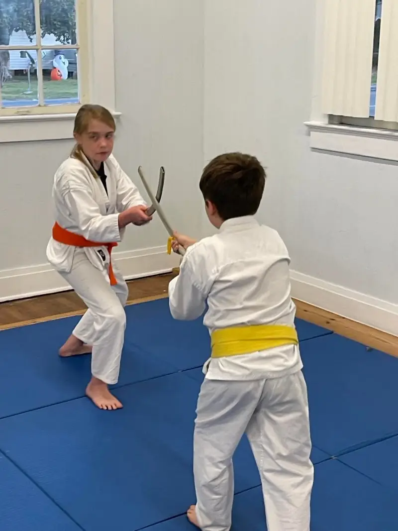 Avoyelles Martial Arts