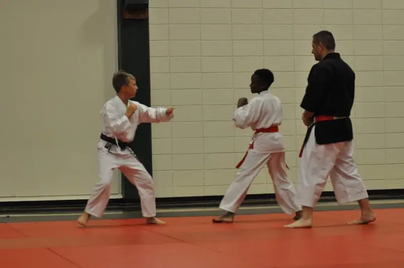 Avoyelles Martial Arts BJJ Academy - photo 2