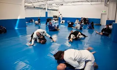 Axis Brazilian Jiu Jitsu New Zealand
