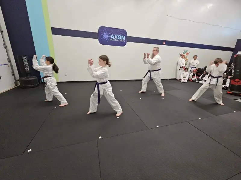 Axon Martial Arts Academy BJJ Academy - photo 1