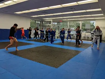 Aylmer Jiu-Jitsu & Muay Thai BJJ Academy - photo 1