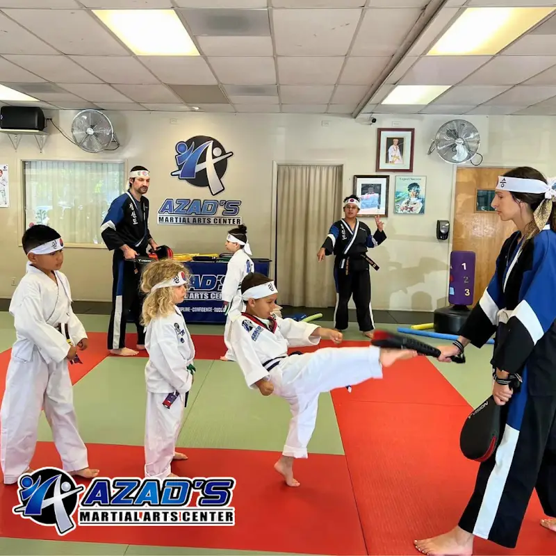 Azad's Martial Arts Center BJJ Academy - photo 1