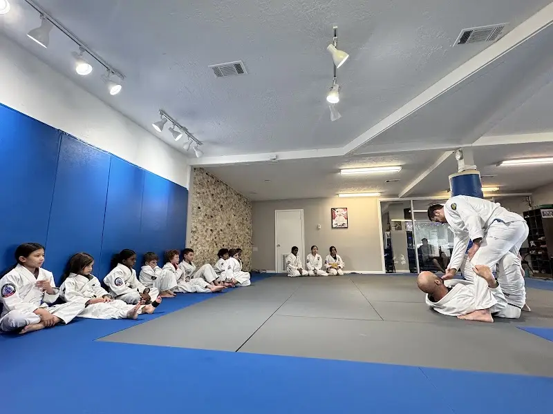 Azul School of Martial Arts BJJ Academy - photo 1