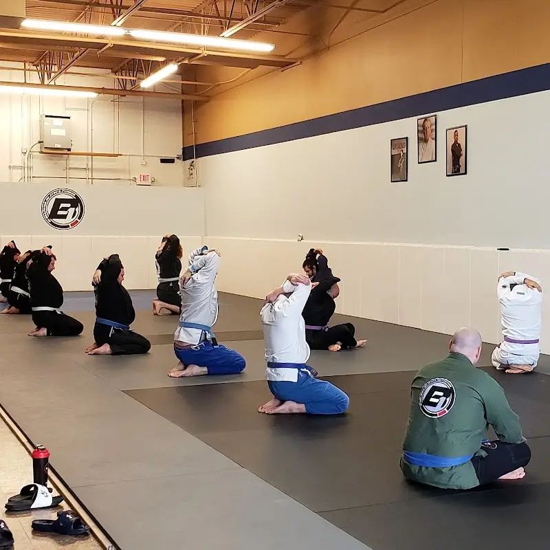 B1 Brazilian Jiu Jitsu & Self Defense Naperville BJJ Academy - photo 1