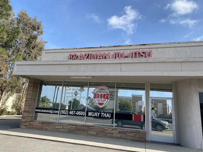 Babalu’s Iron Gym BJJ Academy - photo 1