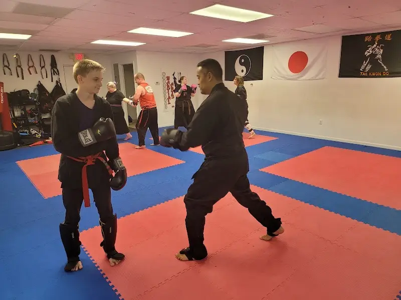 Babincsak Martial Arts BJJ Academy - photo 1