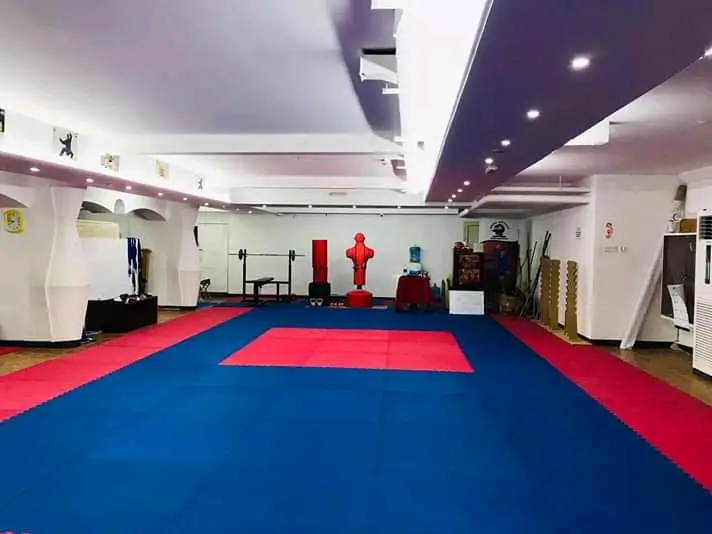 Babu Antony School of Martialarts USA