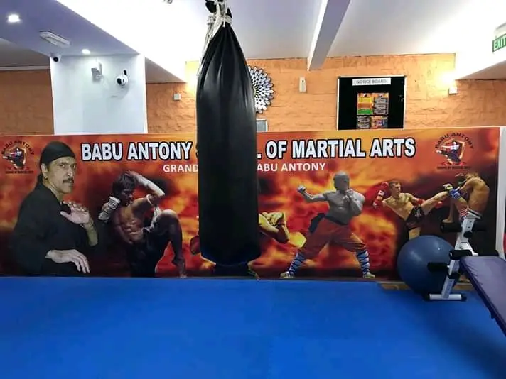 Babu Antony School of Martialarts USA