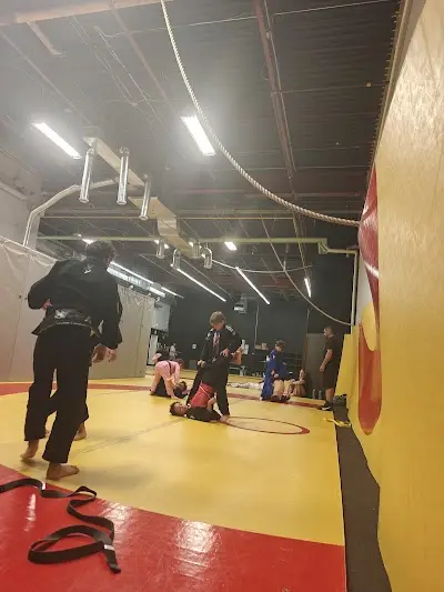 Babylon MMA (Jiu-Jitsu & Boxing)