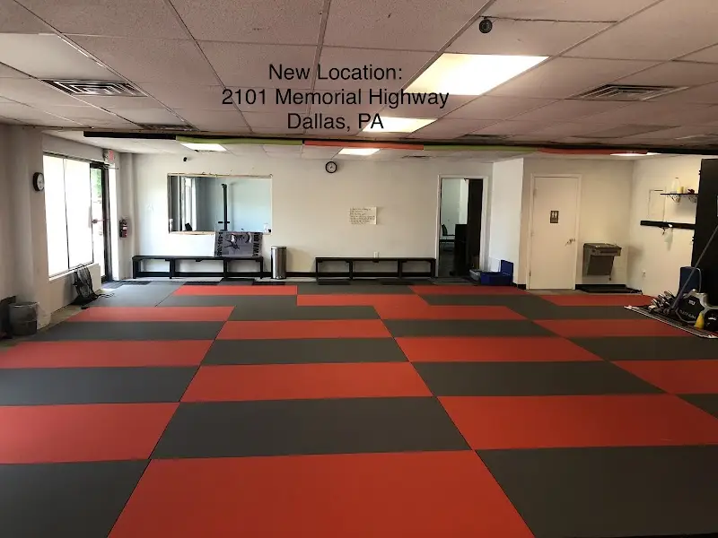 Back Mountain Jiu-Jitsu BJJ Academy - photo 1