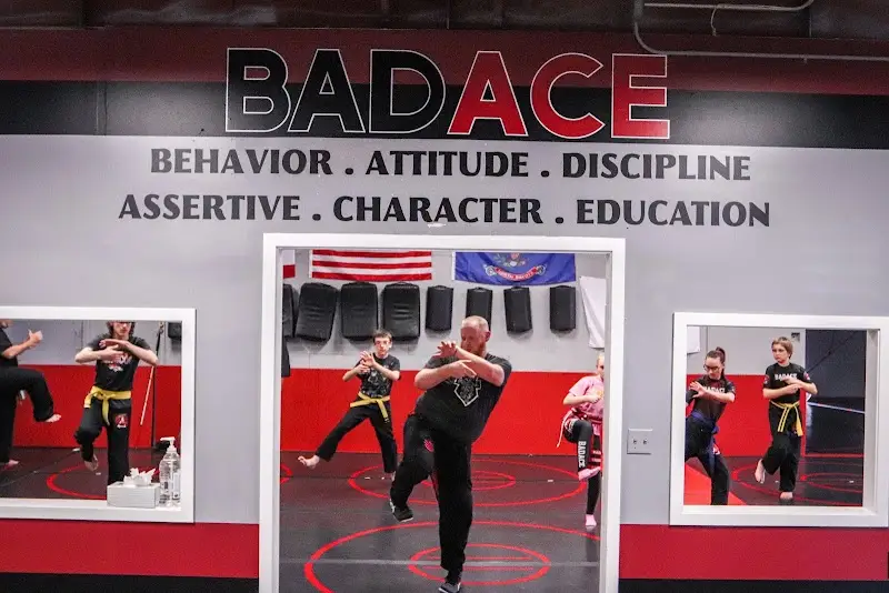 Bad Ace Martial Arts BJJ Academy - photo 1