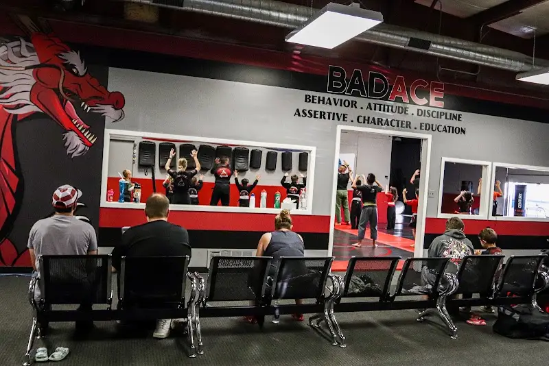 Bad Ace Martial Arts BJJ Academy - photo 2
