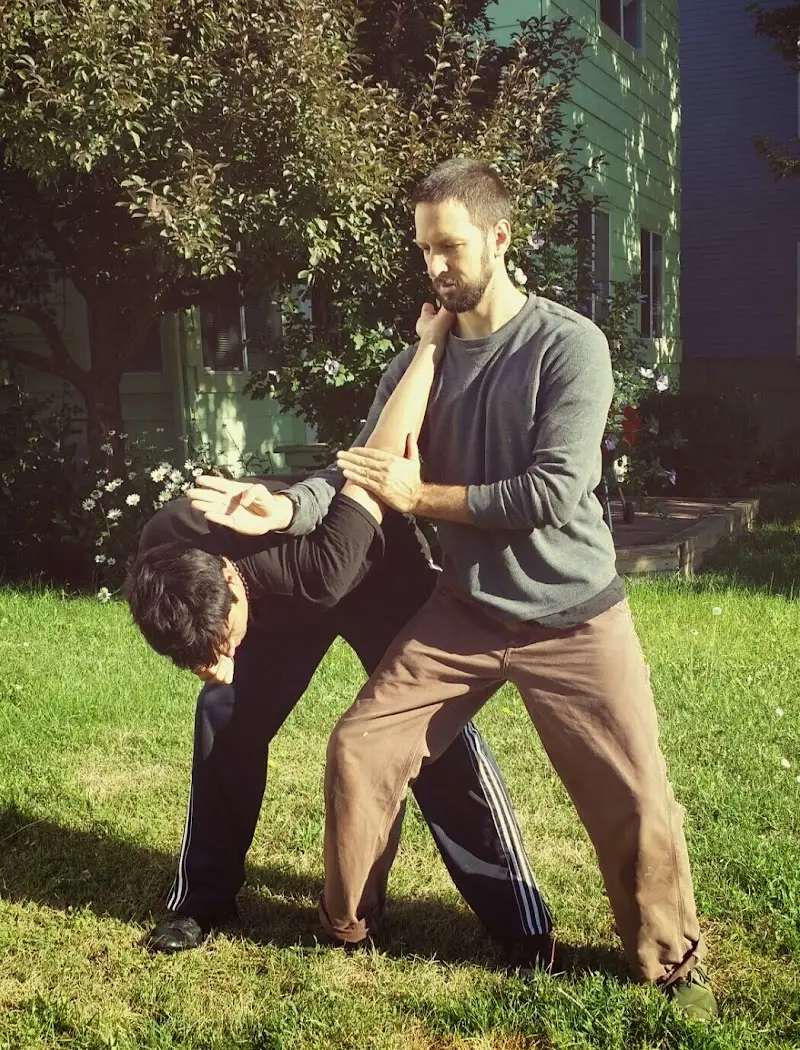 Bagua Internal Arts