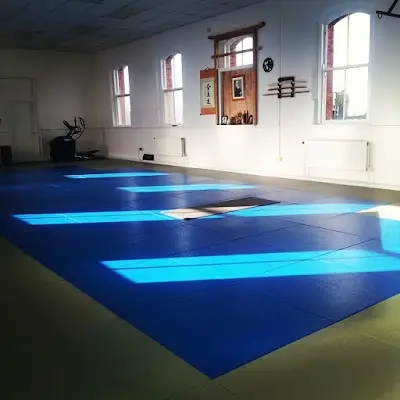 Balance Martial Arts & Yoga BJJ Academy - photo 3