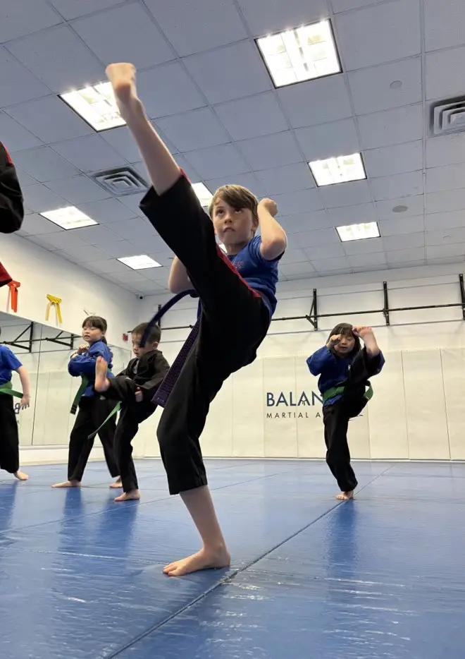Balanced Martial Arts