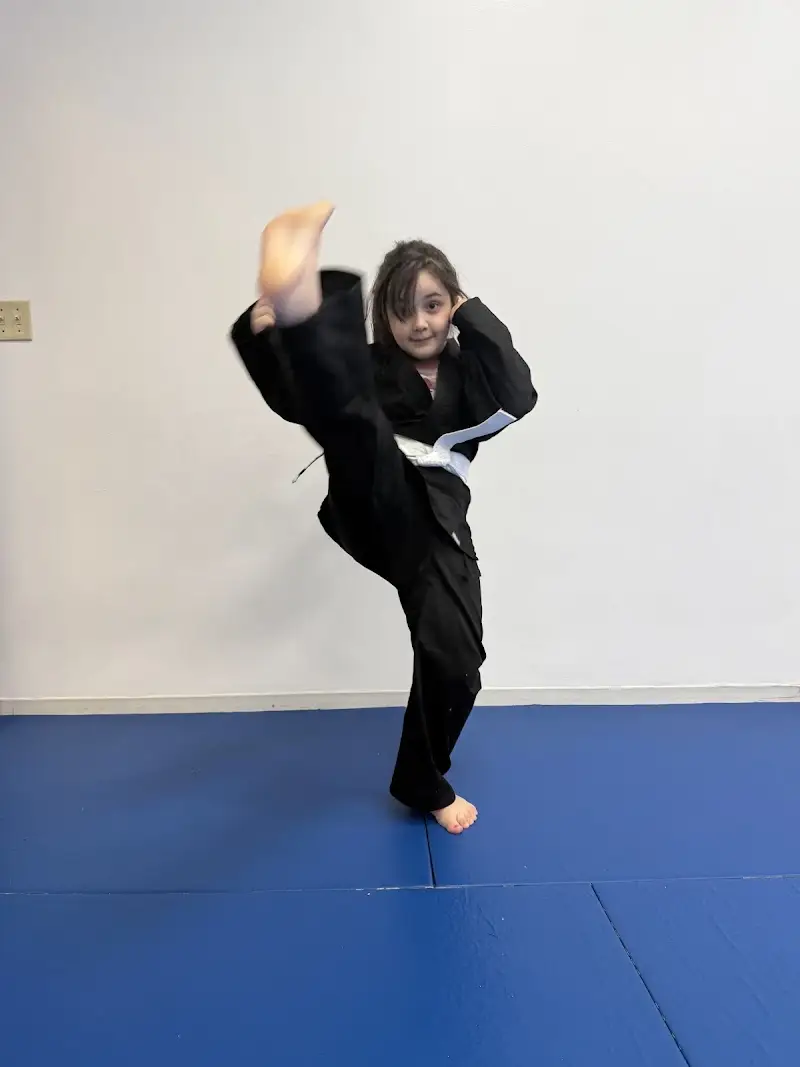 Balanced Martial Arts BJJ Academy - photo 1