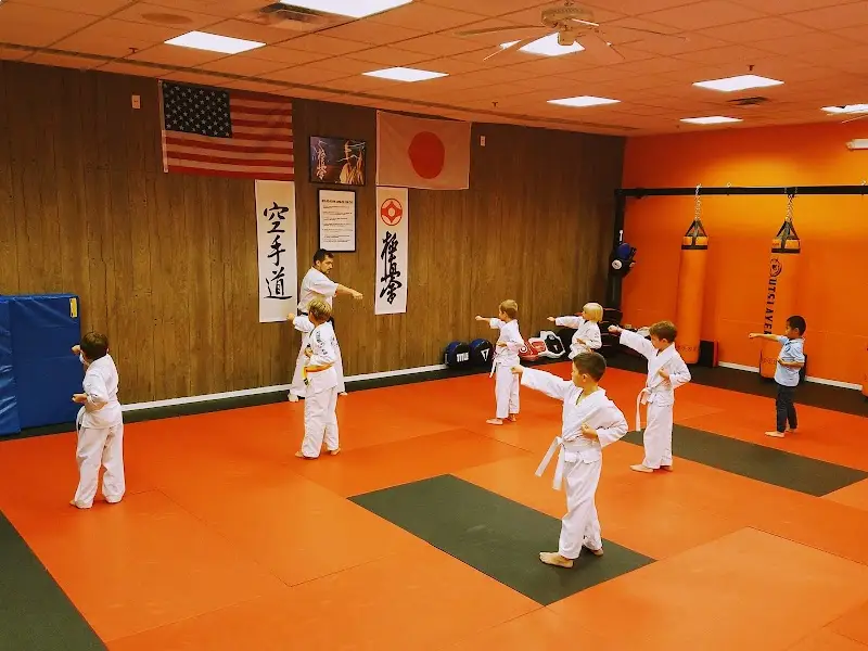 Ballistic Budo Club BJJ Academy - photo 2