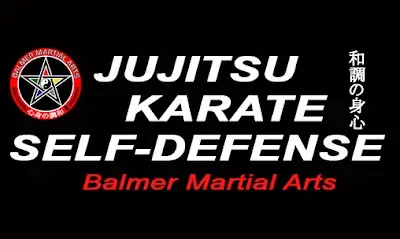 Balmer Martial Arts BJJ Academy - photo 1