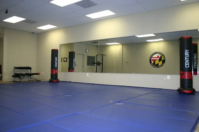 Baltimore School of Self Defense BJJ Academy - photo 2