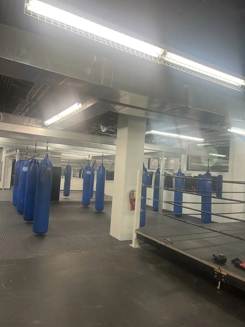 Bangkok Boxing Fitness BJJ Academy - photo 1
