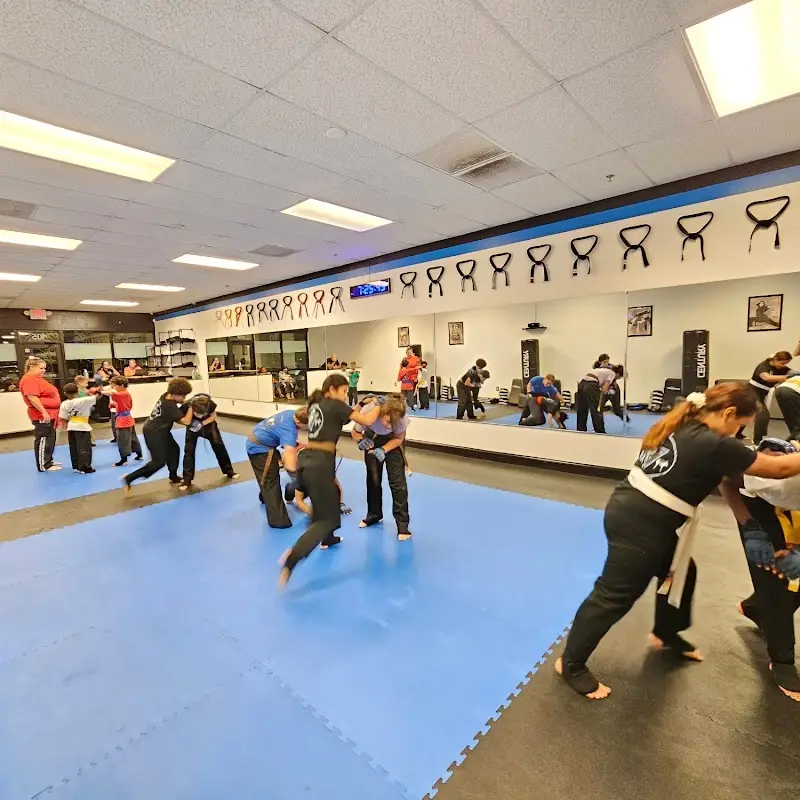 Bannis Martial Arts