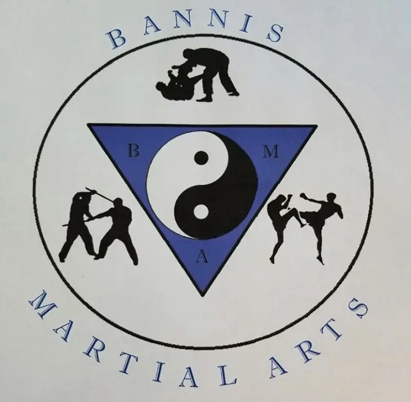 Bannis Martial Arts BJJ Academy - photo 2