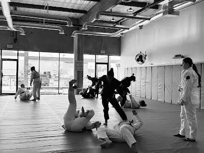 Barncat Jiu Jitsu