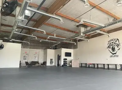 Barncat Jiu Jitsu BJJ Academy - photo 2
