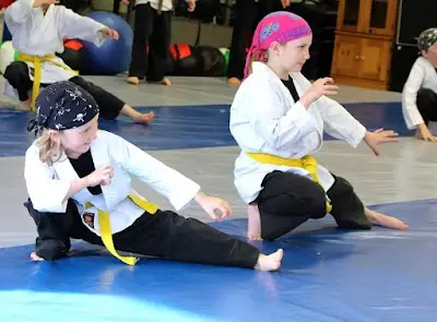 Barrie Jiu Jitsu BJJ Academy - photo 1