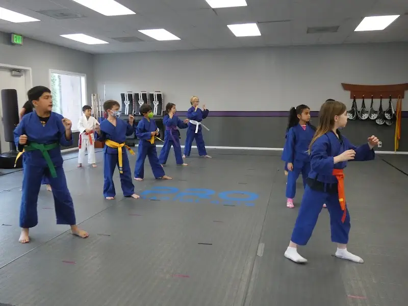 Barron Academy of Martial Arts BJJ Academy - photo 1