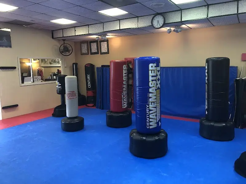Barron's Martial Arts BJJ Academy - photo 1