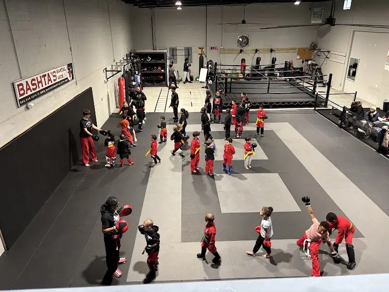 Bashta's Martial Arts BJJ Academy - photo 2