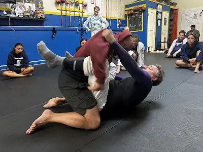 Bay Area Capoeira Jiu Jitsu