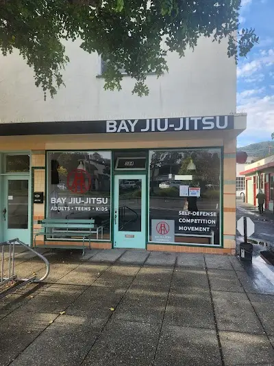 Bay Jiu-Jitsu BJJ Academy - photo 1