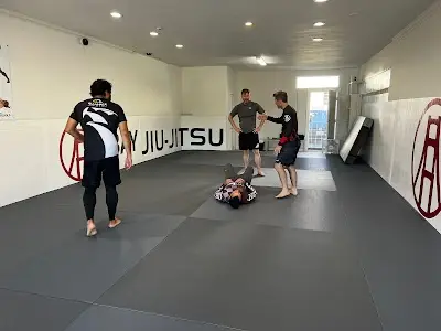 Bay Jiu-Jitsu BJJ Academy - photo 3