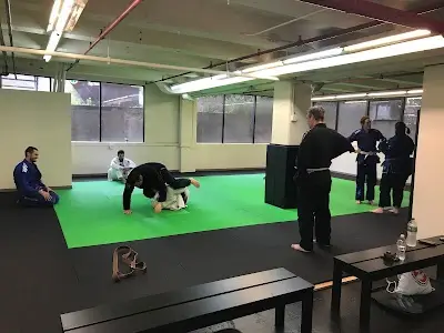 Bay State Brazilian Jiu-Jitsu BJJ Academy - photo 1