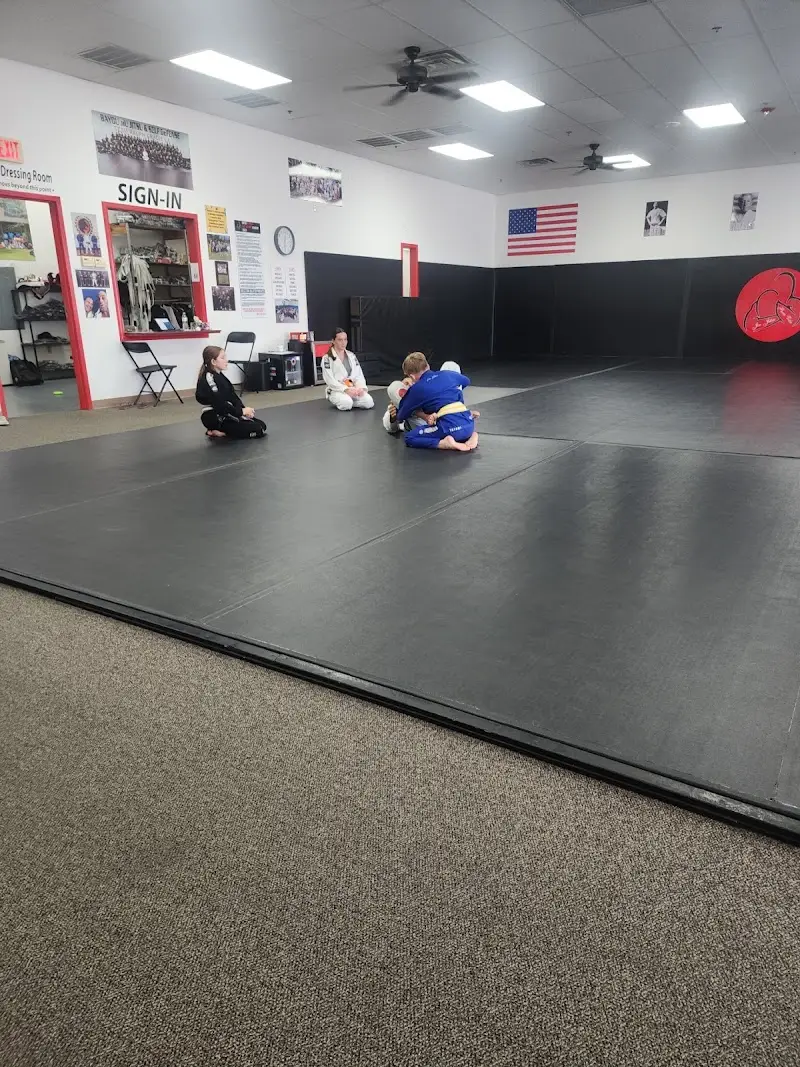 Bayou Jiu Jitsu & Self Defense BJJ Academy - photo 1
