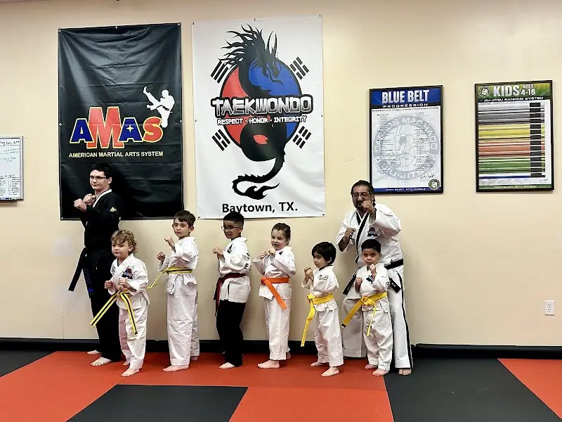 Baytown Black Belt Academy BJJ Academy - photo 2